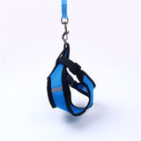 Cute Small Nylon Dog Harness Cat Pet Harness set