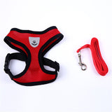 Cute Small Nylon Dog Harness Cat Pet Harness set