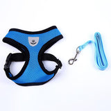 Cute Small Nylon Dog Harness Cat Pet Harness set